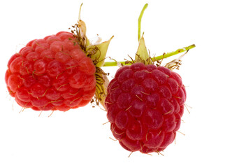 wild raspberry isolated