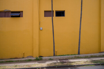Mustard Yellow Urban Building on an Incline and in a State of Decay, for use as a Template.