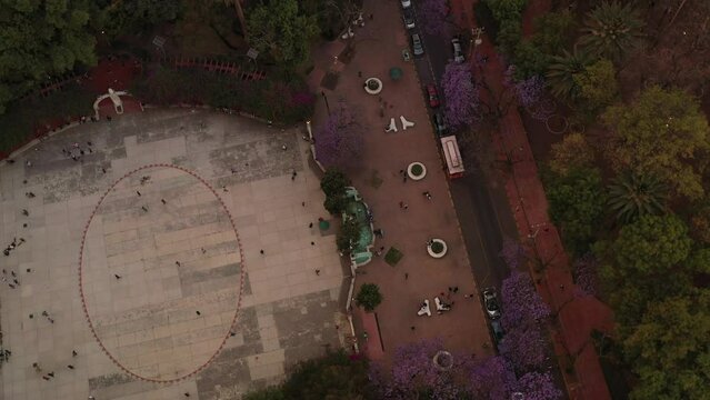 Parque M&eacute;xico, CDMX