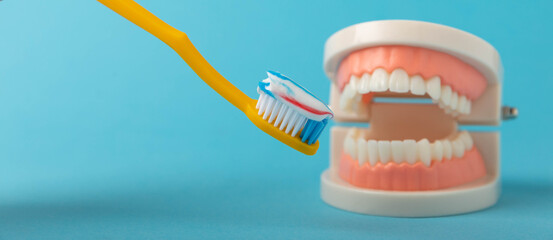 Dentures with a toothbrush on a blue background.Upper and lower jaws with false teeth. Dentures or...