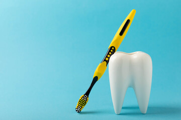 Cleaning model of a white tooth with a toothbrush on a blue background. The concept of dental...