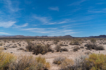 Fototapeta na wymiar Desert landscape with mountains in background. Mojave Desert.