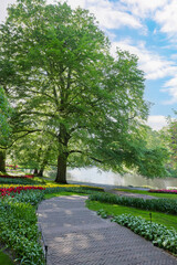 Pathway in park with green trees and beautiful flowers on sunny day. Spring season