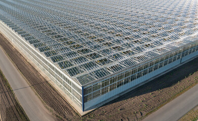 Aerial view of a glass greenhouse for growing vegetables