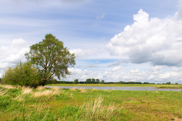 Fototapeta na wymiar River the IJssel in Holland