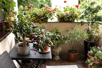 Fototapeta na wymiar Well-kept balcony, lined with many pots of plants