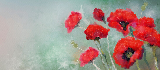 Watercolor poppies. Artistic background, design element