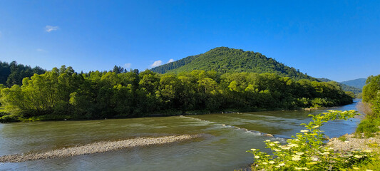 Mountain valley in natural light, river, forest on the slopes