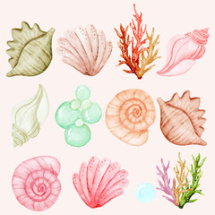 watercolor set of sea creature