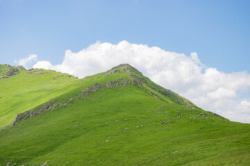 mountain landscape in the summer