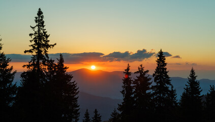 Obraz premium Silhouettes of fir trees in the mountainous valley of the Rhodope Mountains against the background of a sunset sky