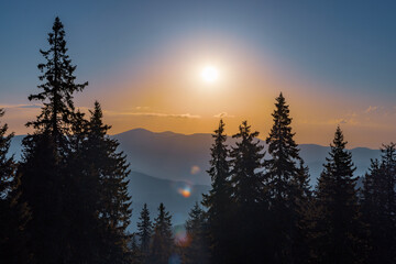 Fototapeta na wymiar Silhouettes of fir trees in the mountainous valley of the Rhodope Mountains against the background of a sunset sky