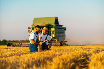 Grandfather and grandson, satisfied with the harvest, walk towards each other in the wheat field,...
