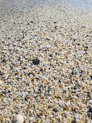 A small sea pebble in close-up. Seawater rushing onto a pebble beach
