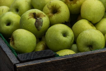 green apples in a basket
