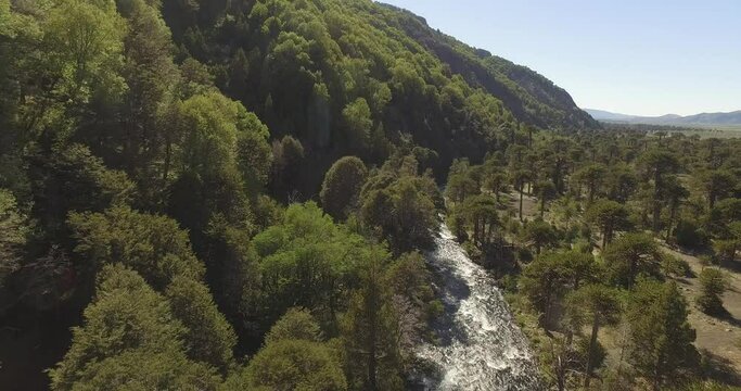 Lanin