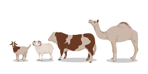 Minimalist realistic vector illustration of goat, sheep, cow and camel in flat cartoon as farm animal elements