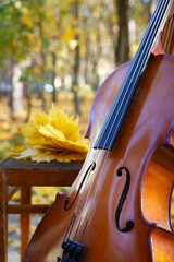 Close-up of cello in autumn park