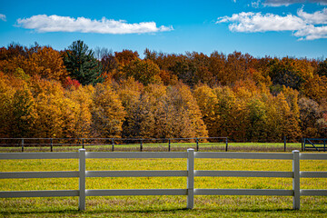 Country road changing leaves road trip in the fall