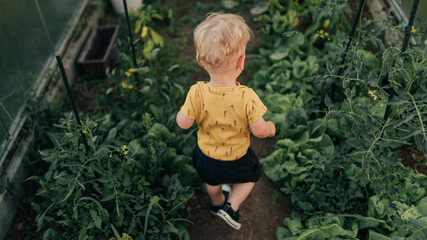 Rear view of little baby boy inside greenhouse on a farm