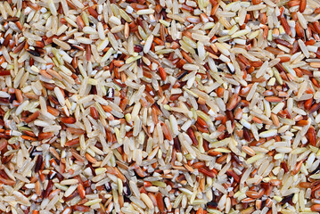 various rice color mixed thai rice for cooking food , Loonzain rice brown black red white purple health food background , brown rice texture background