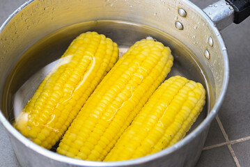 steamed or boiled sweet corn cooked in hot pot , ripe corn cobs sweetcorn for food