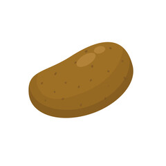 Single raw potato vector illustration isolated on white background
