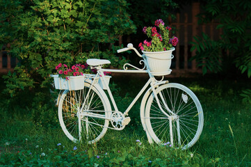 Fototapeta na wymiar White retro vintage bicycle with flowers in the garden. Decoration of the park area. Flower bed design option. Dark blurred background. Summer evening. Selective focus.