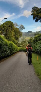 Turista