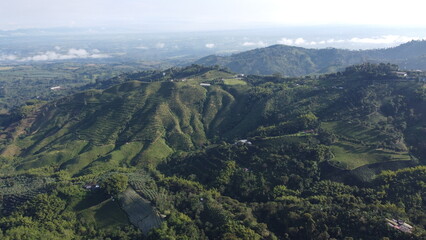 VISTA A&Eacute;REA DE MONTA&Ntilde;A Y CULTIVO DE CAF&Eacute; CON NUBES AL FONDO EN COLOMBIA