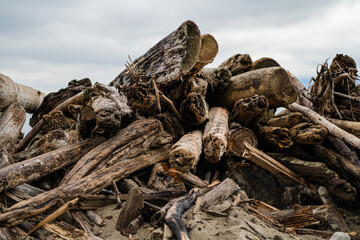 Pile of Driftwood on the Sand