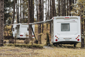 Caravan sleeping trailer lying motionless in the evergreen pine forest.  Concept of leisure activity, eco tourism, camping site, transportation, RV. Freedom and travelling