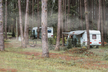 Caravan sleeping trailer lying motionless with fog in the evergreen pine forest.  Concept of leisure activity, eco tourism, camping site, transportation, RV. Freedom and travelling