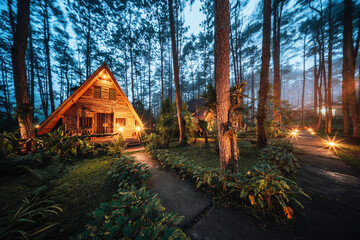 Pinewood cabin in pine forest green on nature trail. Wooden house or wooden hut along the Pinewood hill in twilight night - obrazy, fototapety, plakaty