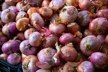 Pile of ripe onion on showcase of greengrocery. Organic vegetables concept..