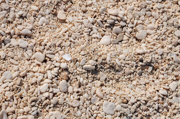 Sand made of pebbles in a beach at Cozumel Island, Quintana Roo, Mexico.