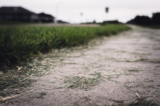 Grass clippings strewn across a residential sidewalk after mowing. 
