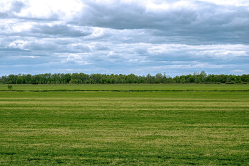Fototapeta na wymiar Spring view of a wisconsin field