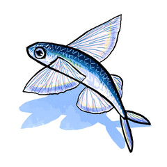 flying fish