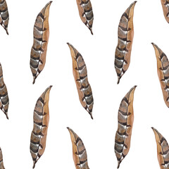 Seamless pattern watercolor brown bird owl feather with stripe on white background. Hand-drawn plume. Wildlife tropic art. Creative for sticker wallpaper wrapping textile. Celebration wedding invite