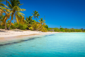 Turquoise Beach in Saona Island - Punta Cana, Dominican Republic - obrazy, fototapety, plakaty