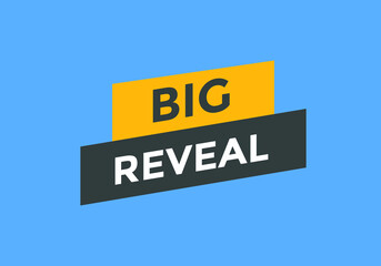 big reveal Colorful web banner. big reveal text symbol. 
