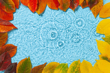 Fototapeta na wymiar Water ripple with fall colorful leaves wreath. Trendy blue background with splash. Copy space. Top view
