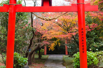 南九州市大野嶽神社の鳥居と紅葉
