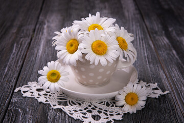 cozy home rural still life. cute daisies on the table in a coffee cup