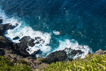 Overhead, ariel view  from the end of the Makapu'u Lighthouse Trail. Looking down at the ocean, volcanic rocks, and dragon fruit cactus vines. Concepts of Hawaii tourism, exercise, family activities, 