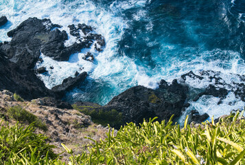 Overhead, ariel view  from the end of the Makapu'u Lighthouse Trail. Looking down at the ocean, volcanic rocks, and dragon fruit cactus vines. Concepts of Hawaii tourism, exercise, family activities, 
