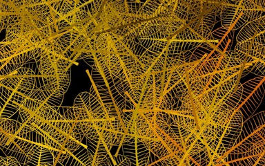 Dark Yellow vector elegant background with leaves.