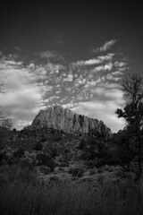 The Watchman Monotone, Zion National Park 