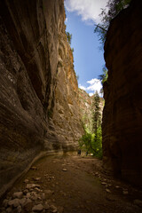 Zion The Narrows, First Narrows